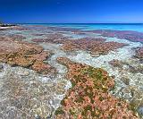 Tikehau Atoll, French Polynesia